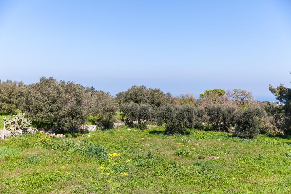 Villa Carenza Monopoli Exteriör bild